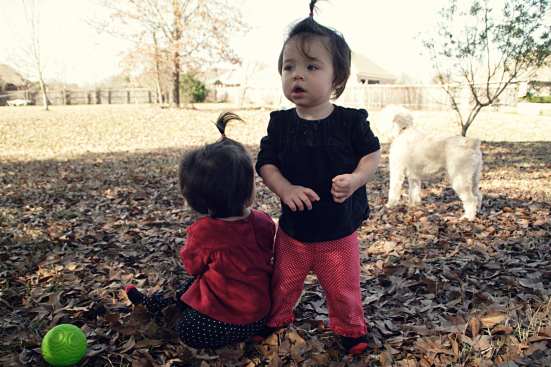Kaitlyn (facing) Ava and our dog Miles enjoy our back yarrd