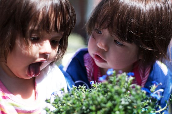 20130319_MonkeySeeMonkeyDo